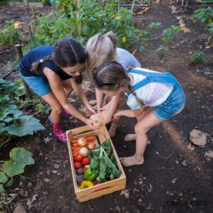 children with crate of freshly picked vegetables image: canva.com